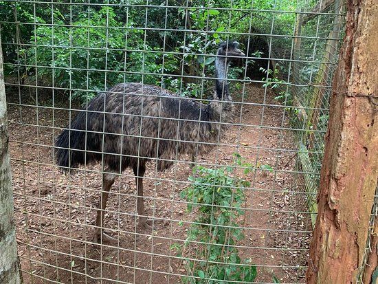Accra Zoo